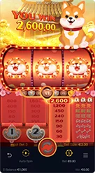 666f · Win Win Won
