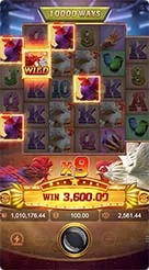 666f · Rooster Rbl